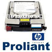 HP 411261-B21 300GB 