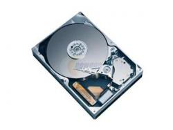 ST3300655LC- 300GB DELL 